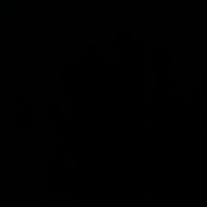 Meet your Posher, Monet